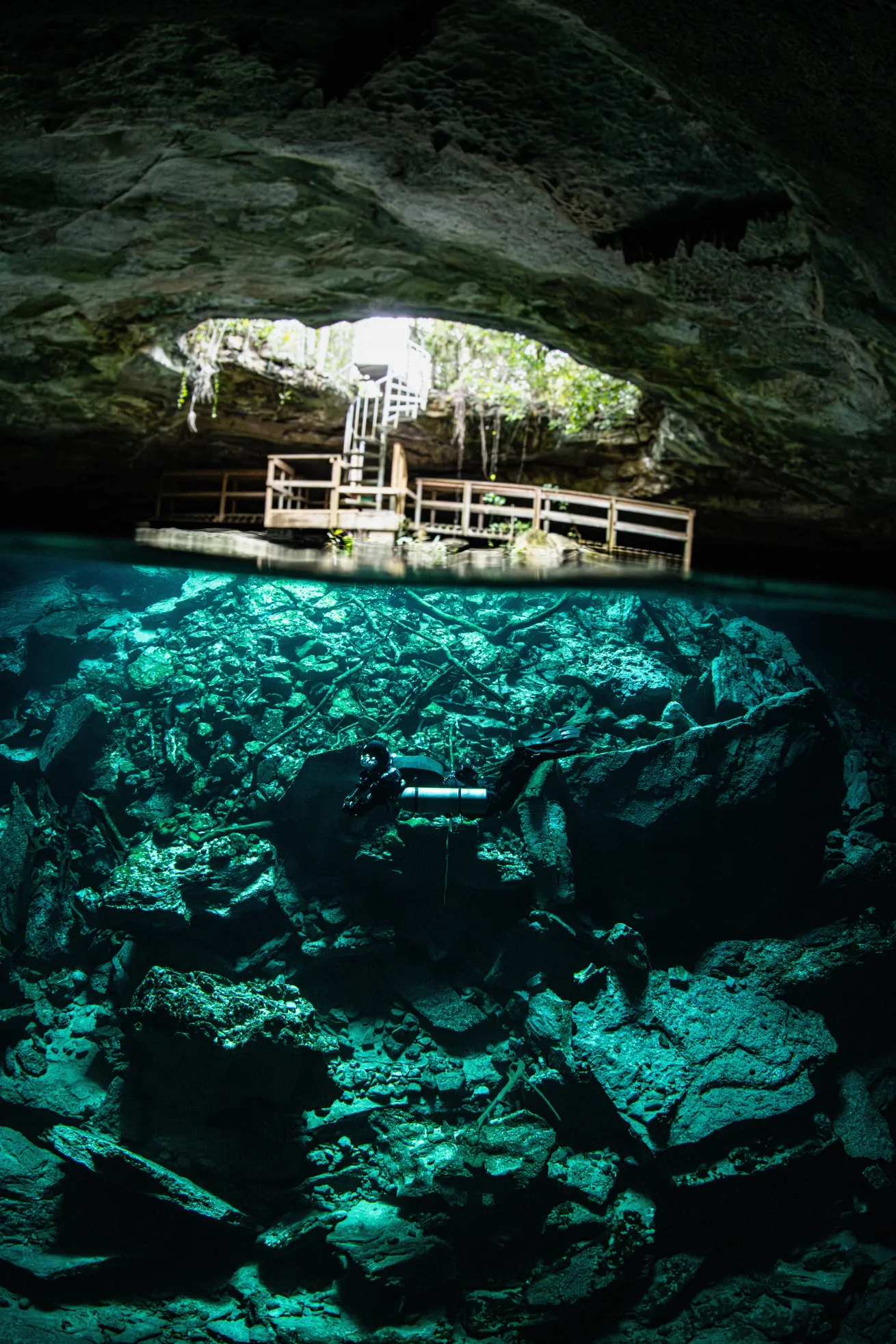 Blue holes tucked into the forest are dramatic entrances to the Bahamas underground.