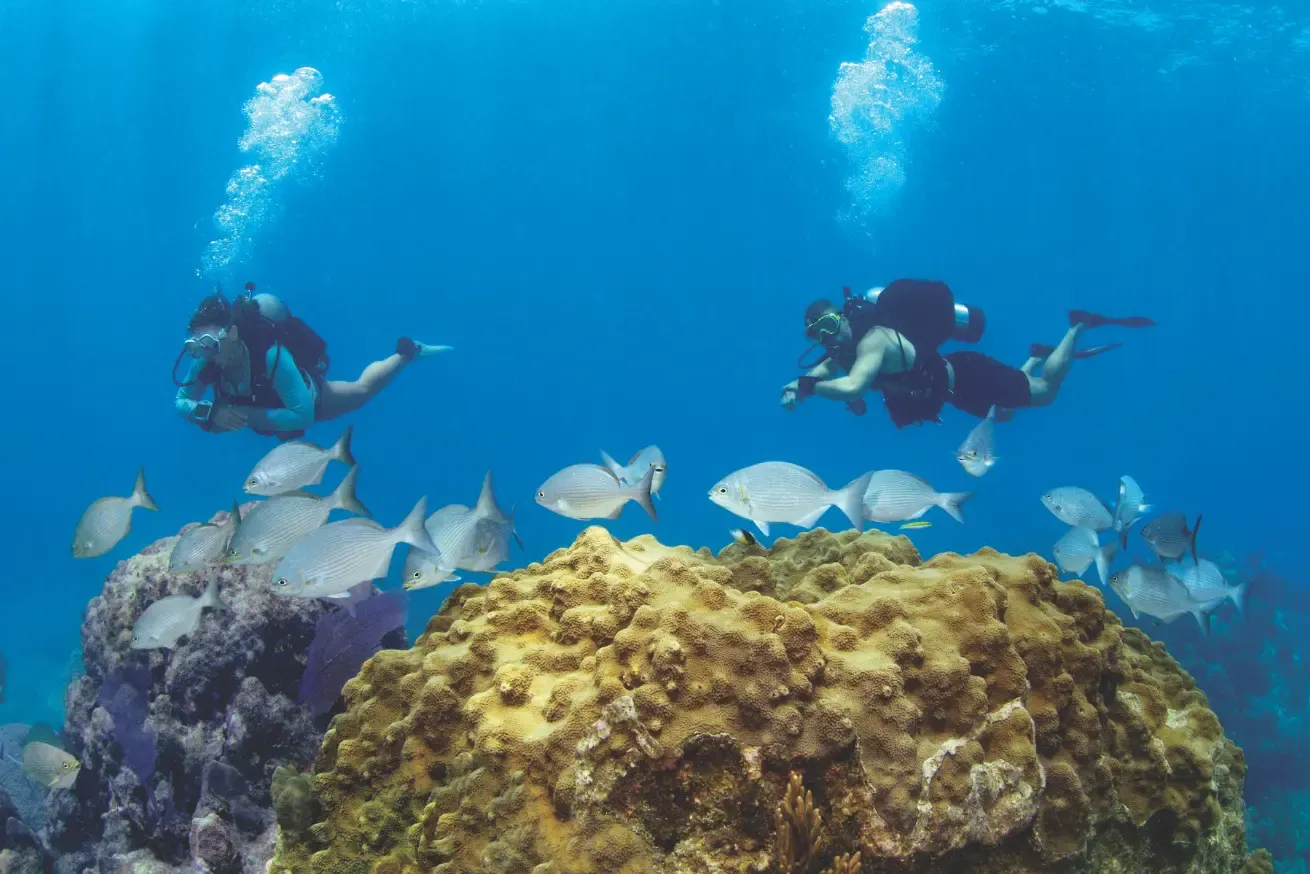 Underwater photograph showing two scuba divers exploring a coral reef surrounded by a school of silver fish in The Florida Keys.