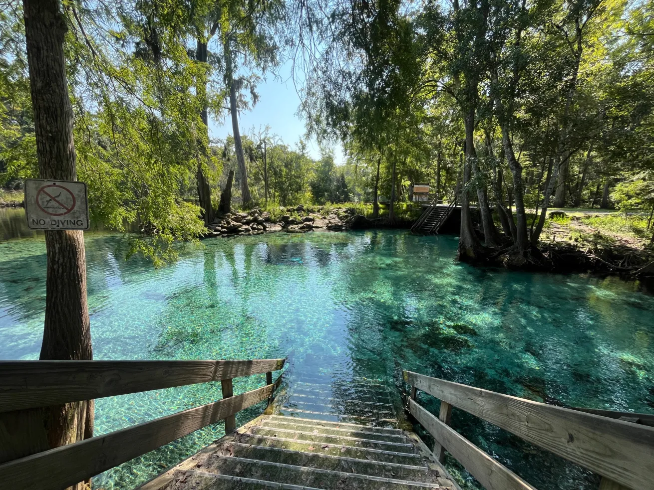 Diving Florida's Ginnie Springs | Scuba Diving