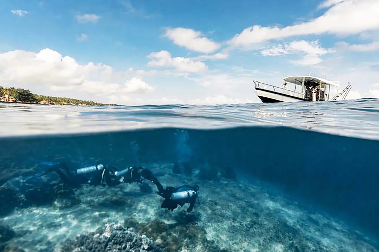 Observed divers concentrate on a reef around Nusa Penida, Indonesia. Divers in the study underestimated their reef contacts by nearly fivefold.