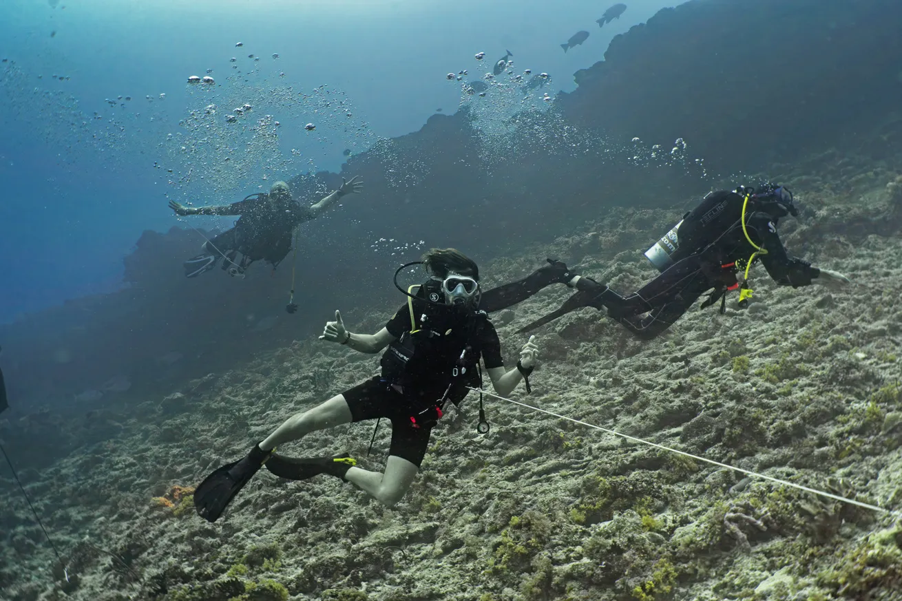 Divers in the Maldives make frequent use of reef hooks when dropping down near channel mouths in the current.
