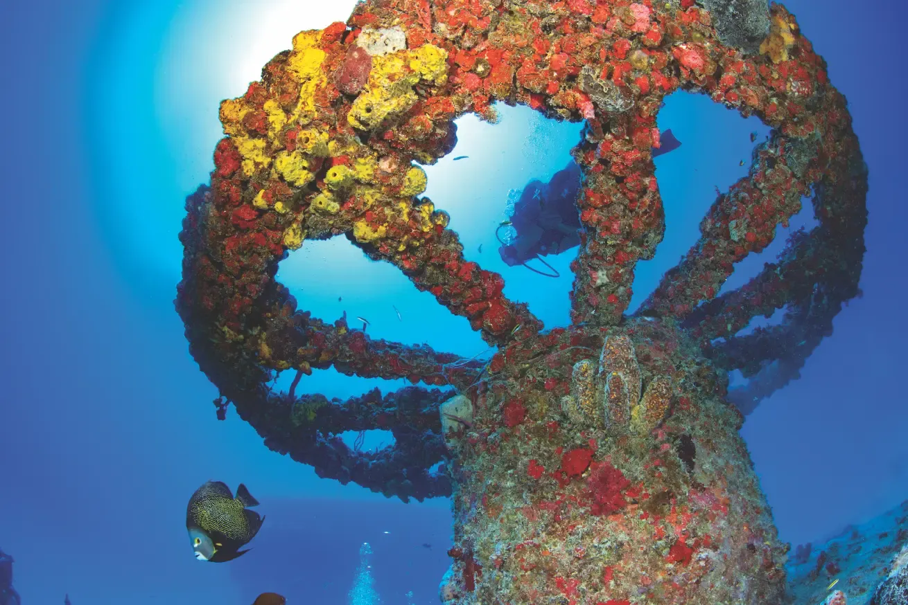 The Thunderbolt wreck in Marathon.