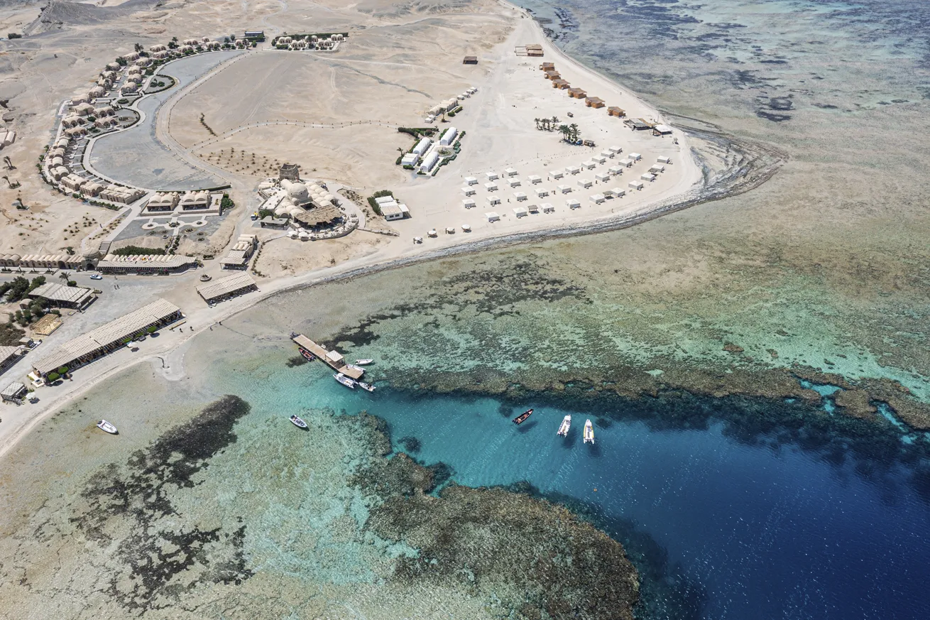 Marsa Shagra has easy access to Elphinstone Reef, where whale sharks may be seen.