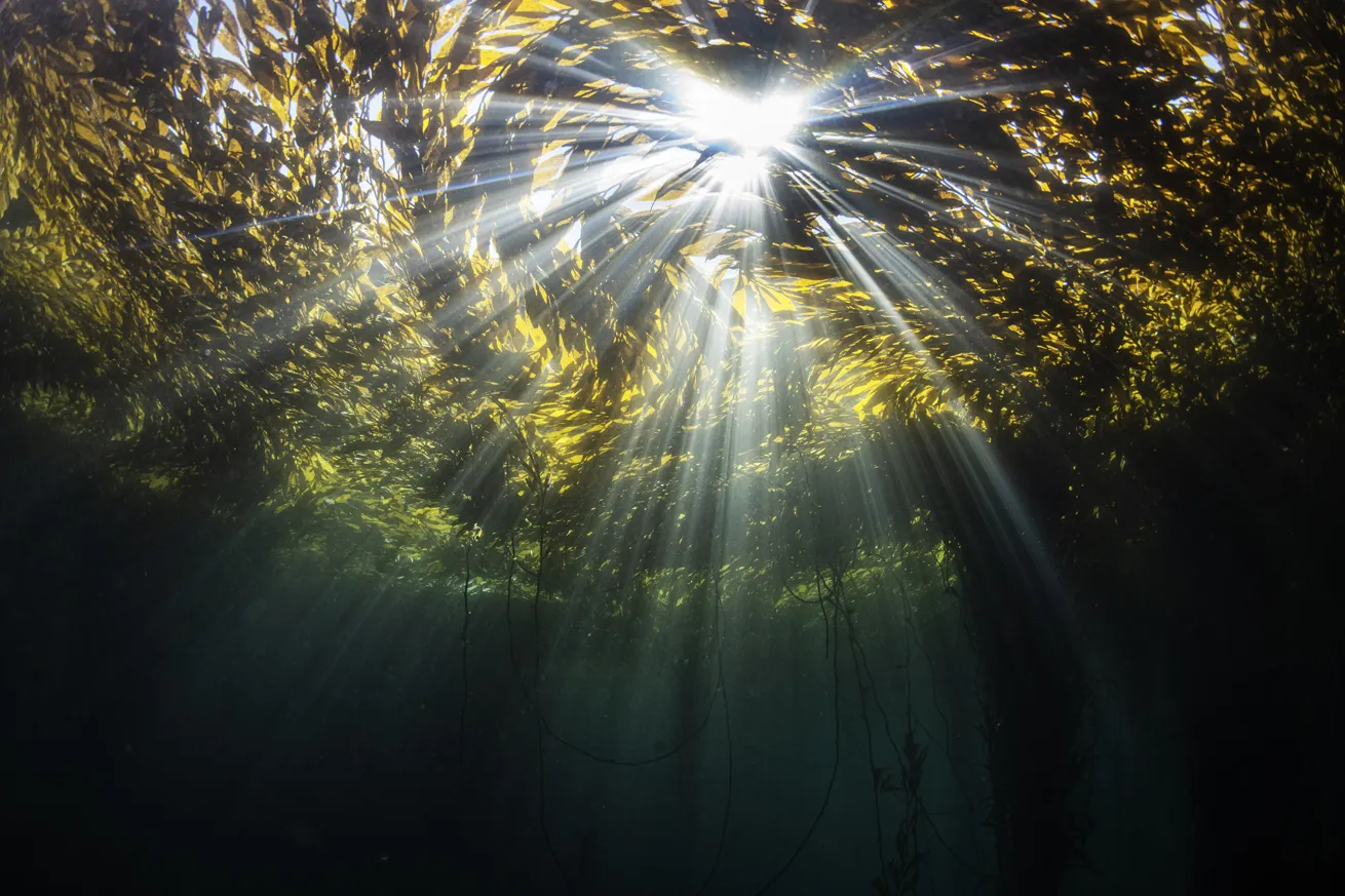 When filming with natural light, you can add depth to your footage by playing with shadows and silhouettes.