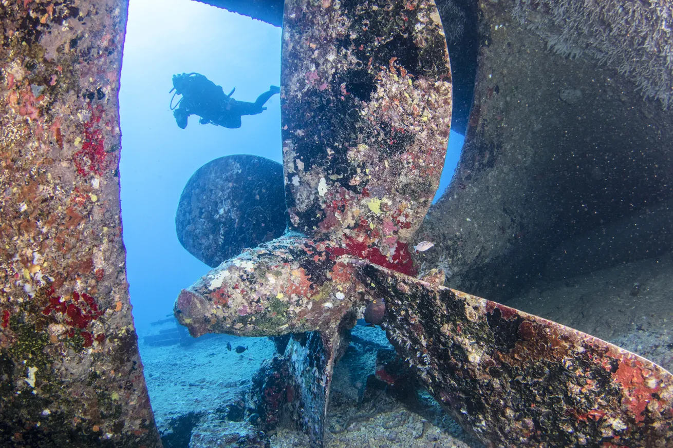The tug’s intact propeller