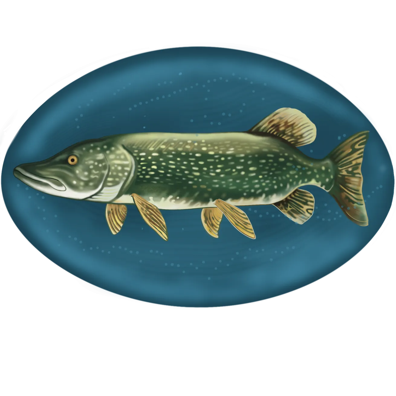 illustration of Northern pike fish