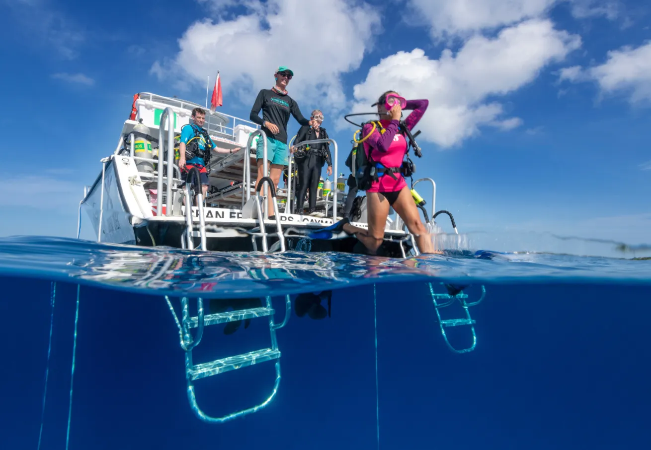 A group of divers on a boat