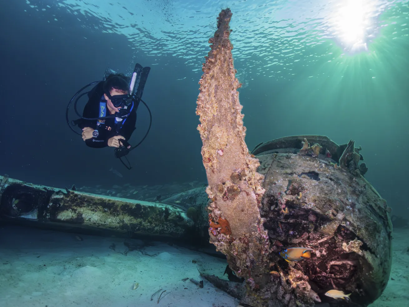 Dive guide Victoria inspects the Smuggler’s Plane wreck

