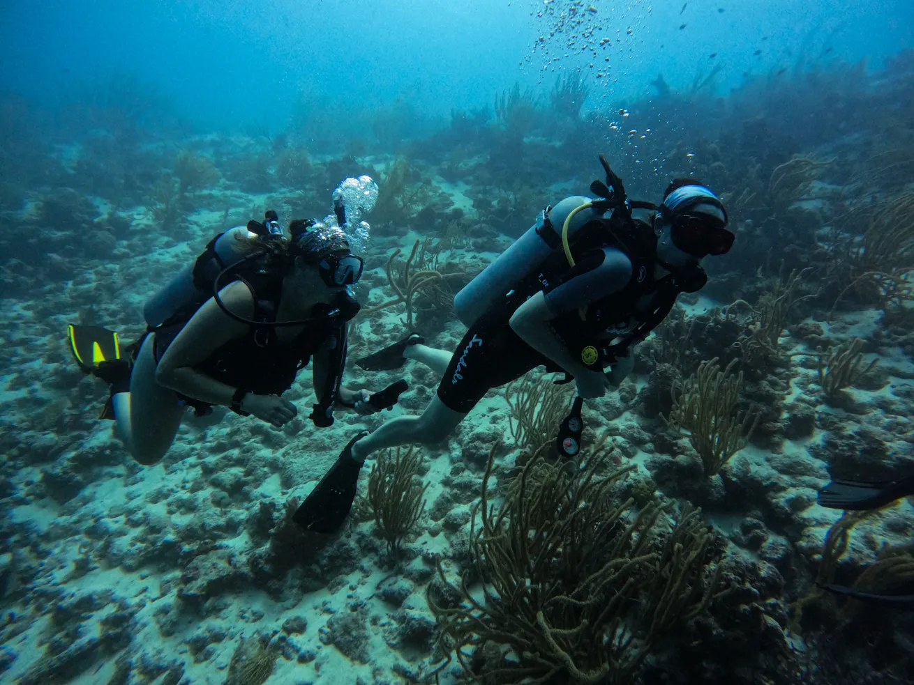The author and her friend Rachael dive together in Curaçao.