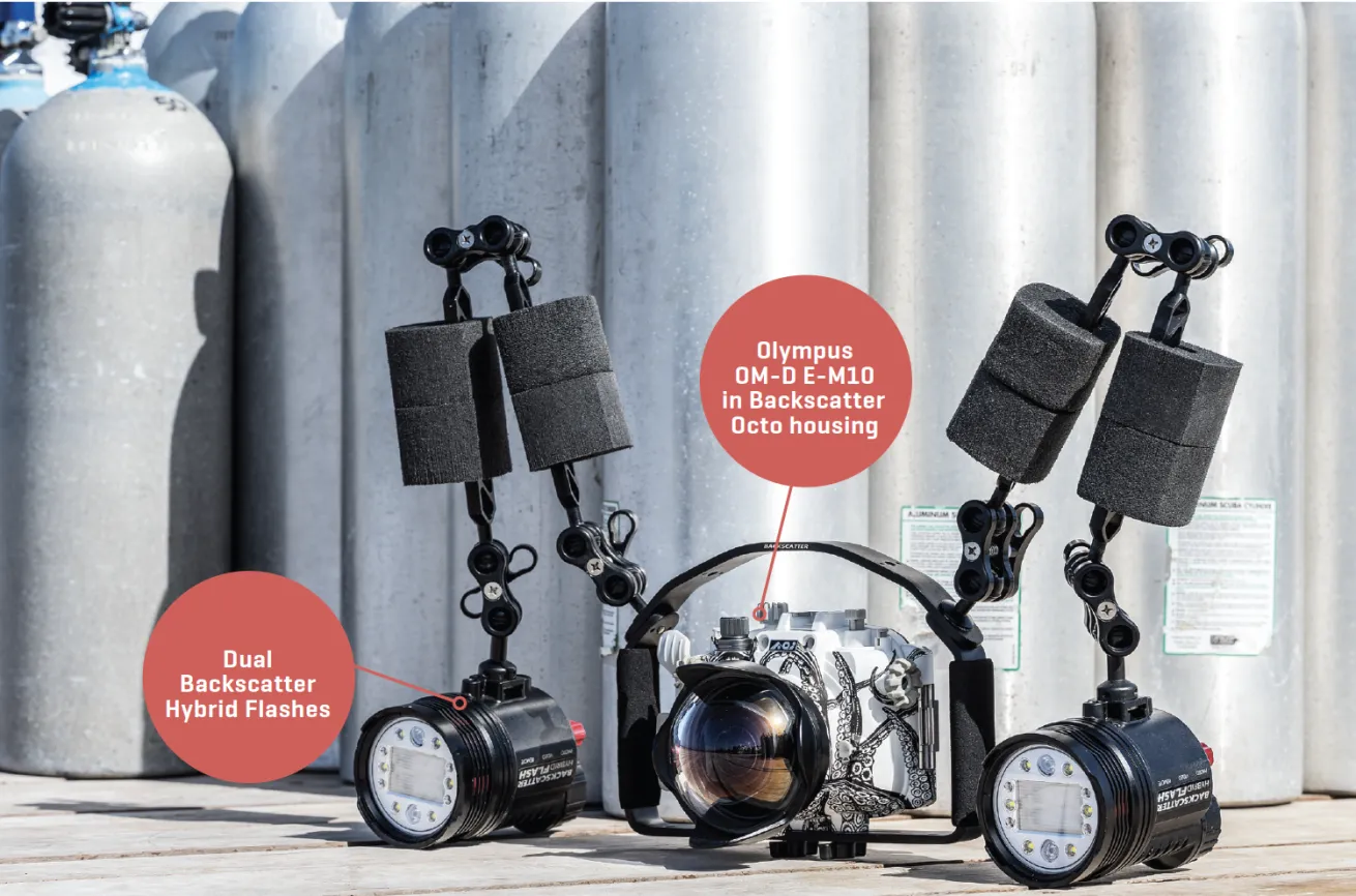 1. Dual Backscatter Hybrid Flashes

2. Olympus OM-DE-M10 in Backscatter Octo housing