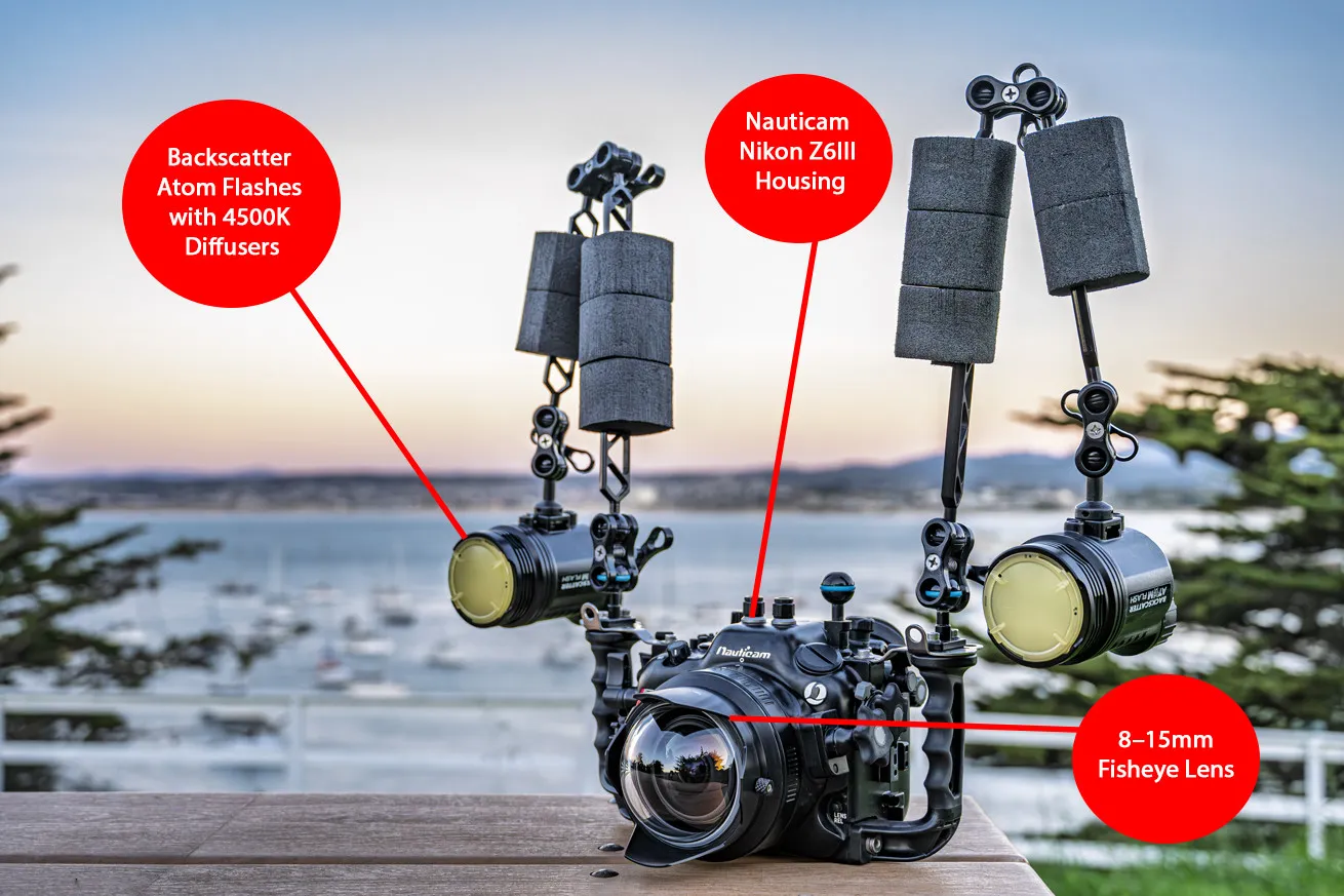 Backscatter Atom Flashes with 4500K Diffusers
Nauticam Nikon Z6III Housing
8–15mm Fisheye Lens