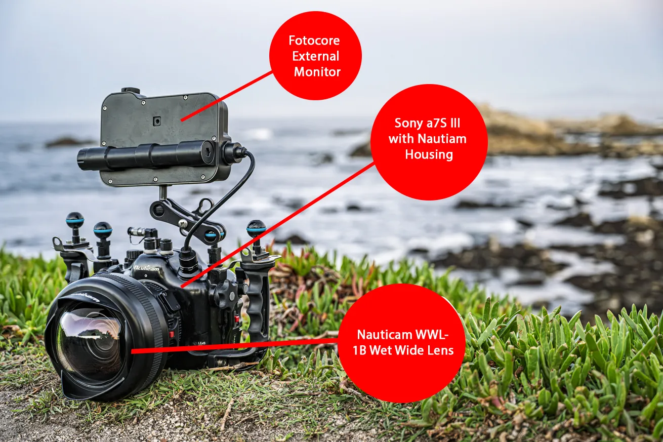 1. Fotocore External Monitor
2. Sony a7S III with Nautiam Housing
3. Nauticam WWL-1B Wet Wide Lens