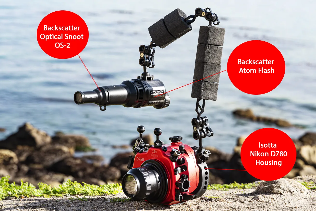 1. Backscatter Optical Snoot OS-2 
2. Backscatter Atom Flash
3. Isotta Nikon D780 Housing
