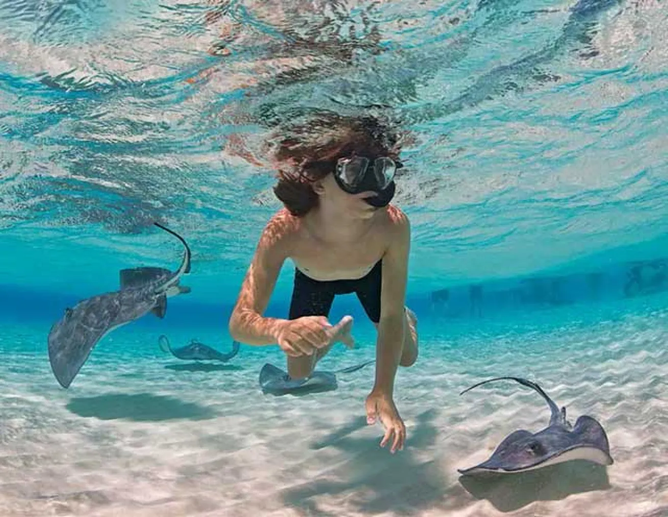 Stingray City Cayman Islands