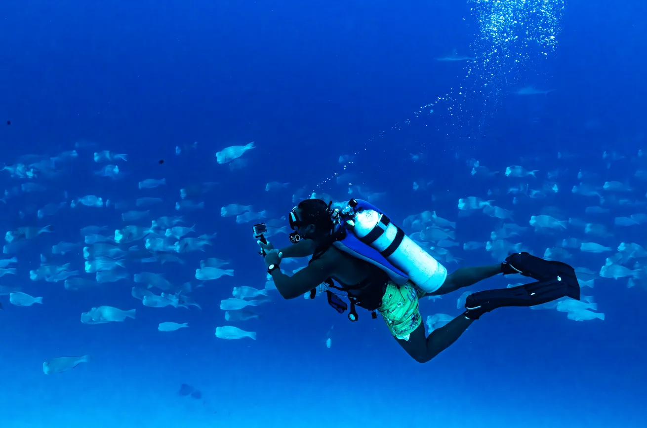 Jonas films the bumphead parrotfish spawning.