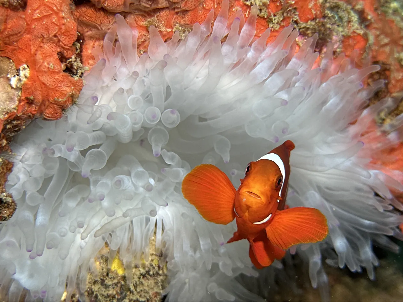 Dive into epic adventures. 