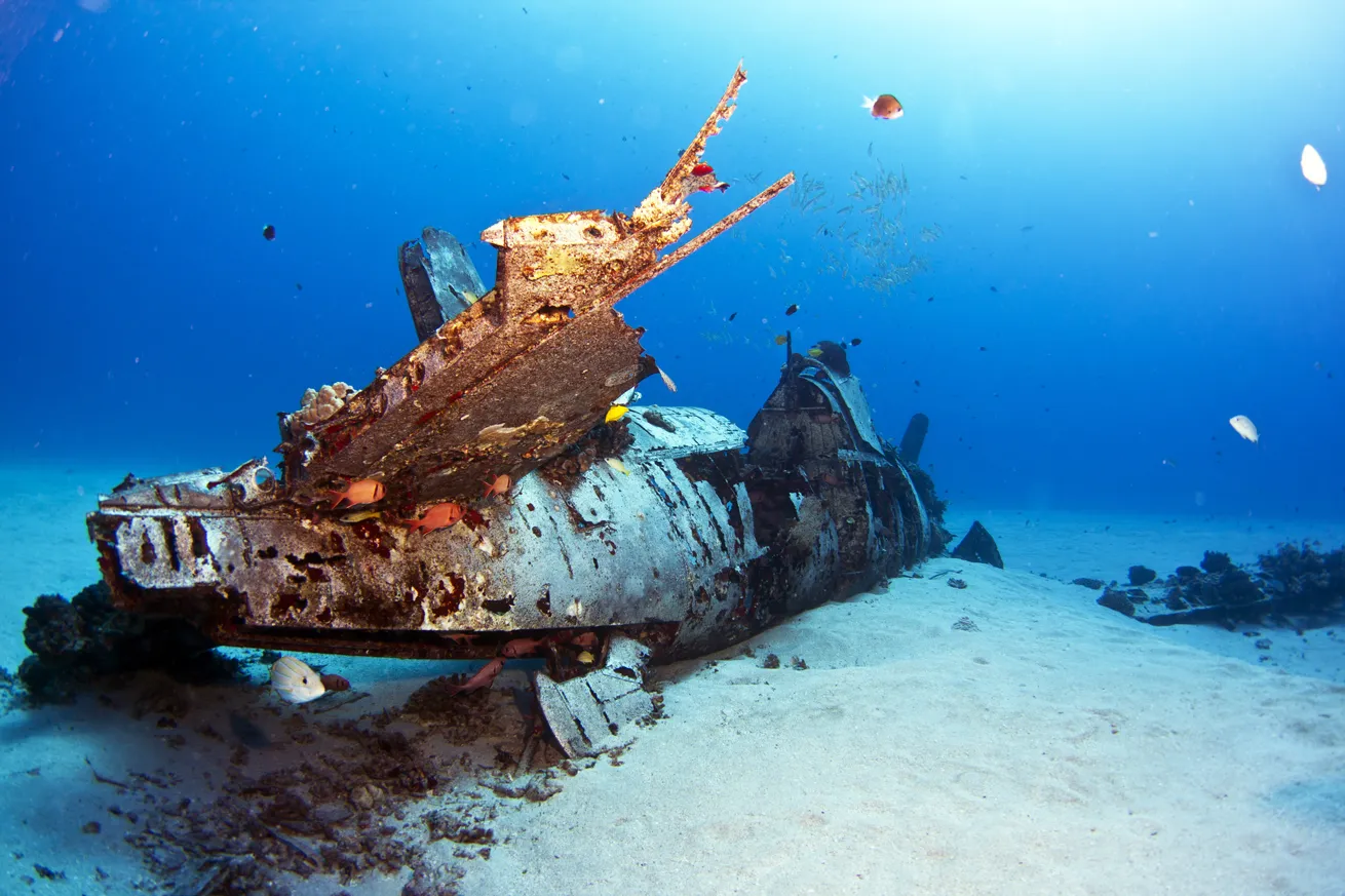 The sunken World War II fighter is largely intact and encrusted with corals.