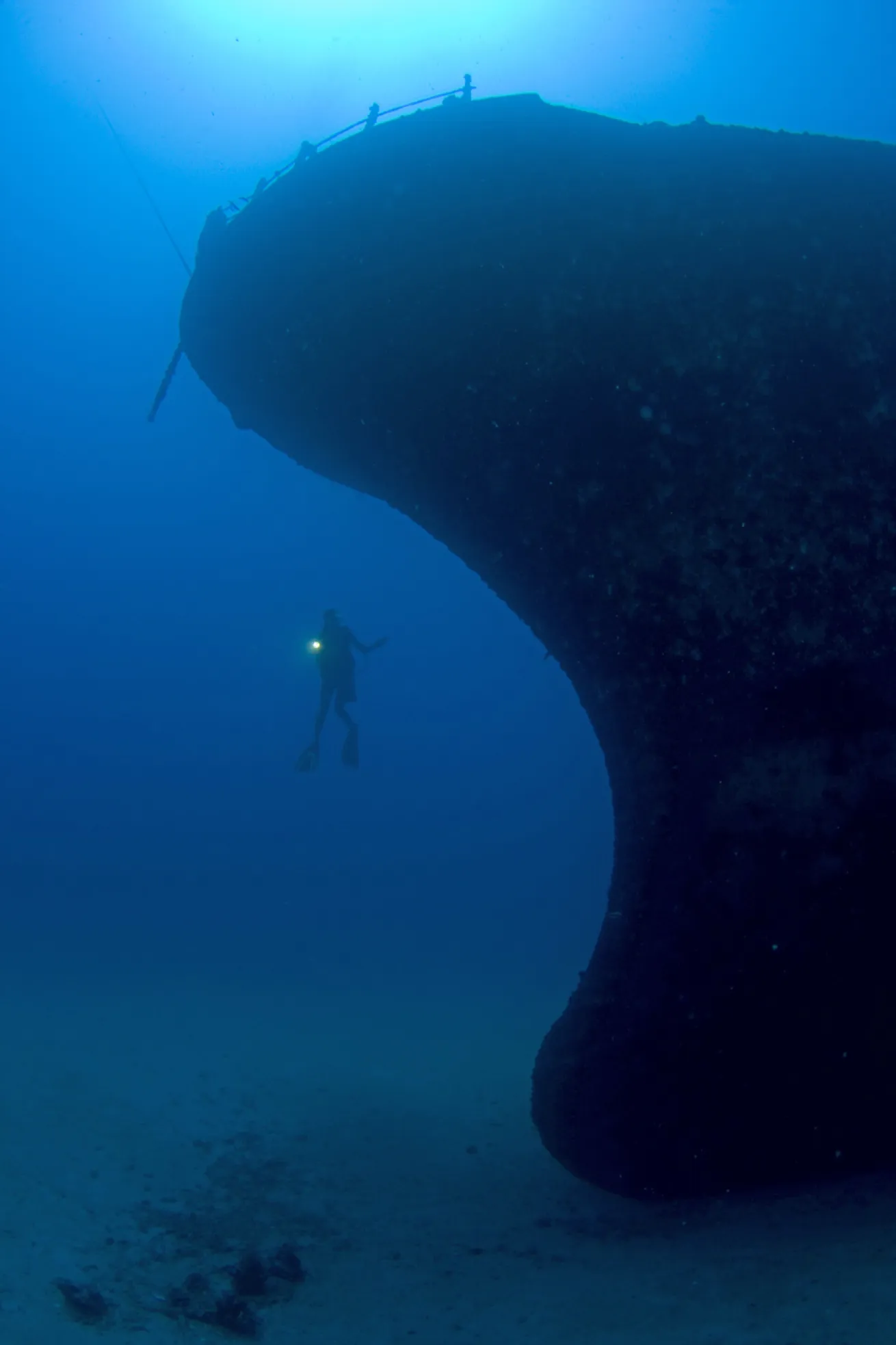 Another poses beside the wreck’s bow.
