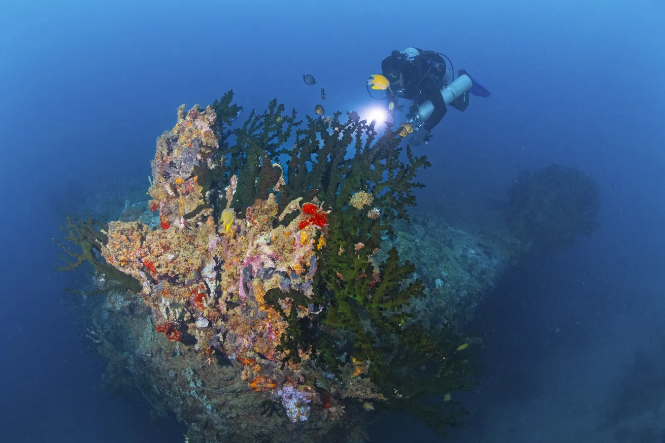 Coral covers the bow of Vanuatu’s SSPresident Coolidge.