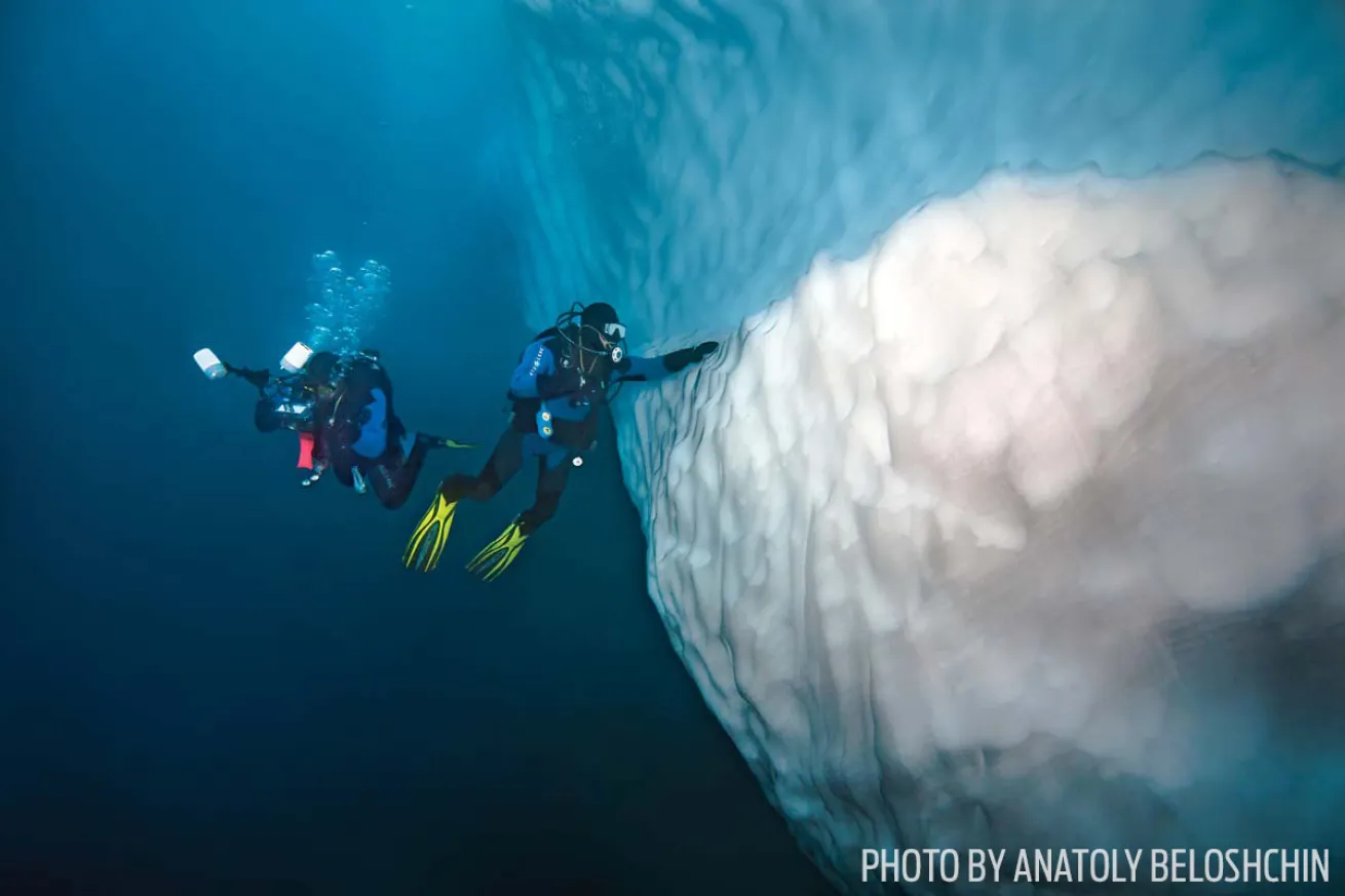 Scuba diving in antarctica ice