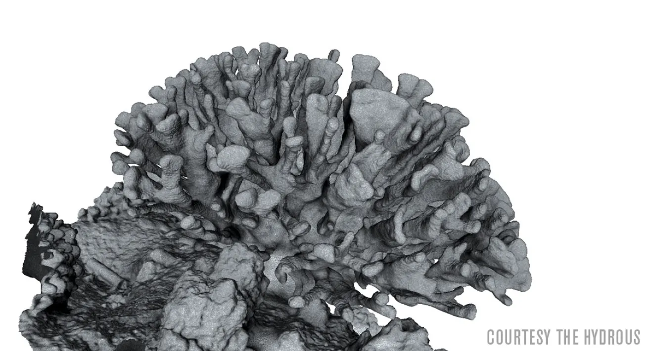 3-D printing coral reef