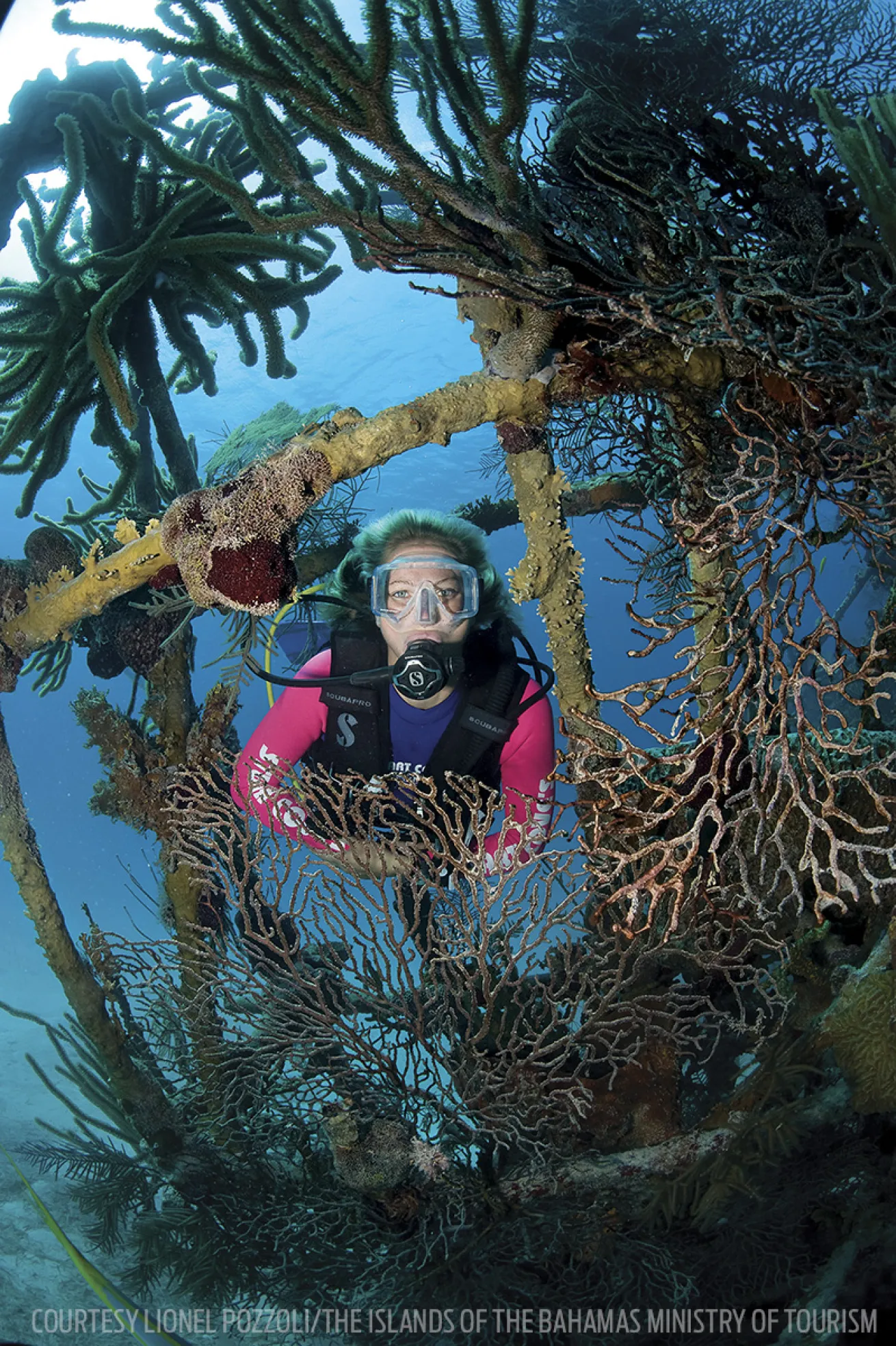 james bond shipwrecks scuba diving