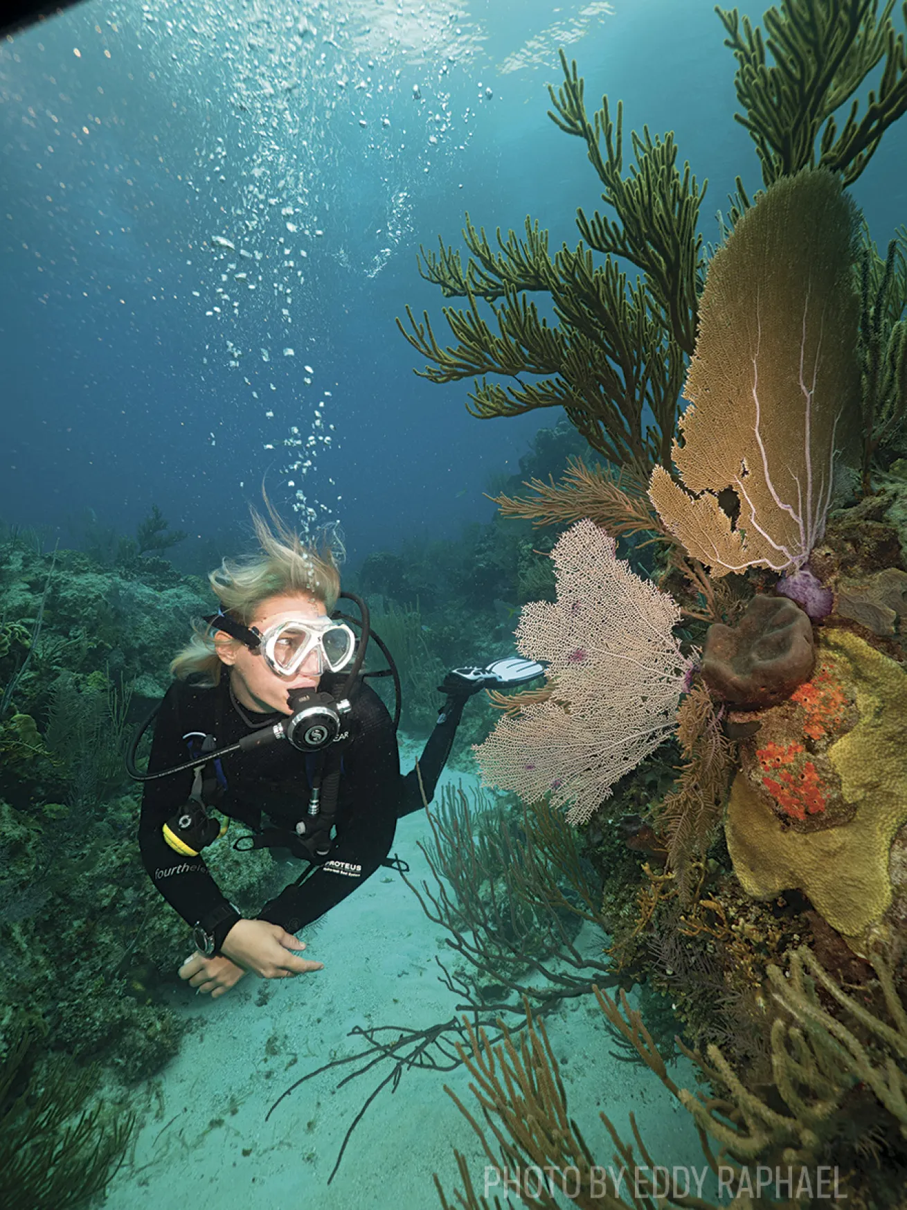 scuba diving bahamas southwest reef