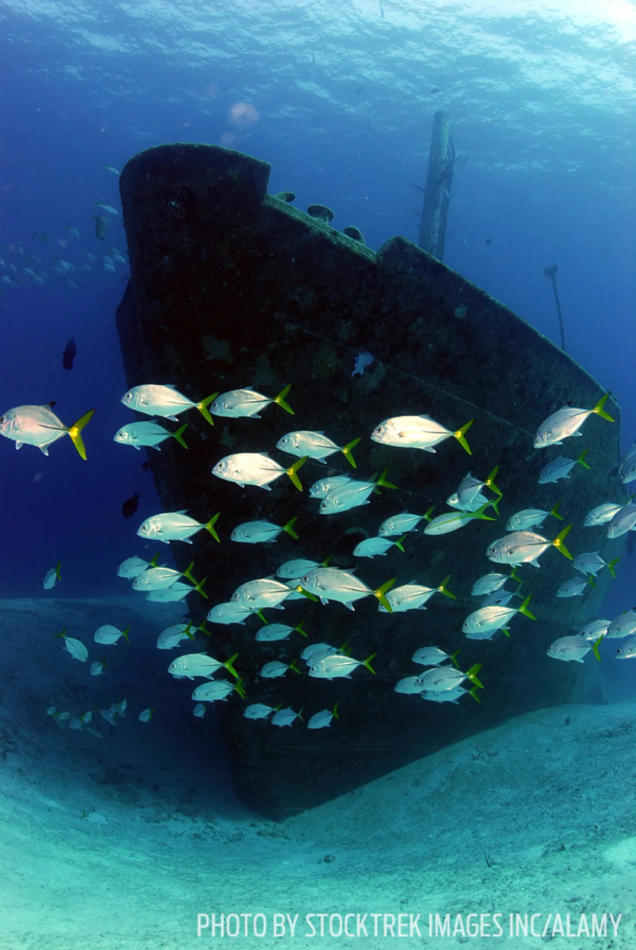 Ray of Hope wreck diving Bahamas