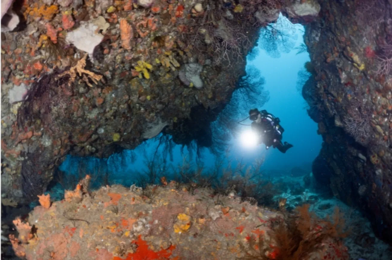 Diving Diamond Rock, Martinique