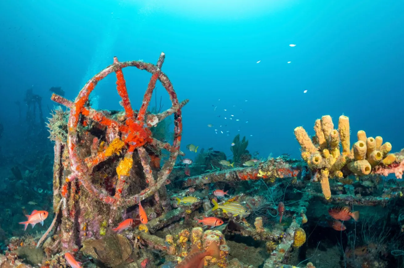 The wrecks of Saint-Pierre-Les e\_paves de Saint-Pierre