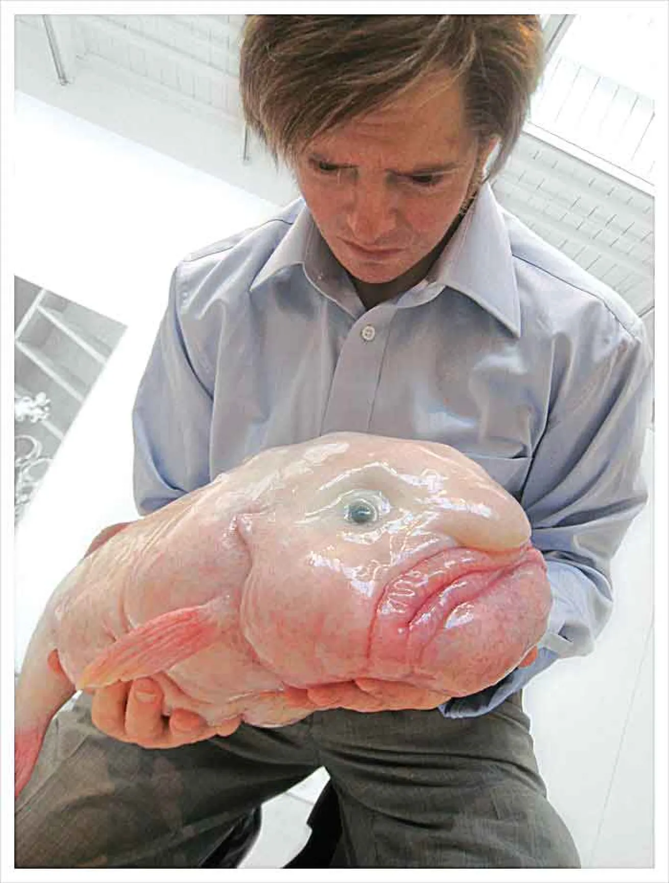 blobfish