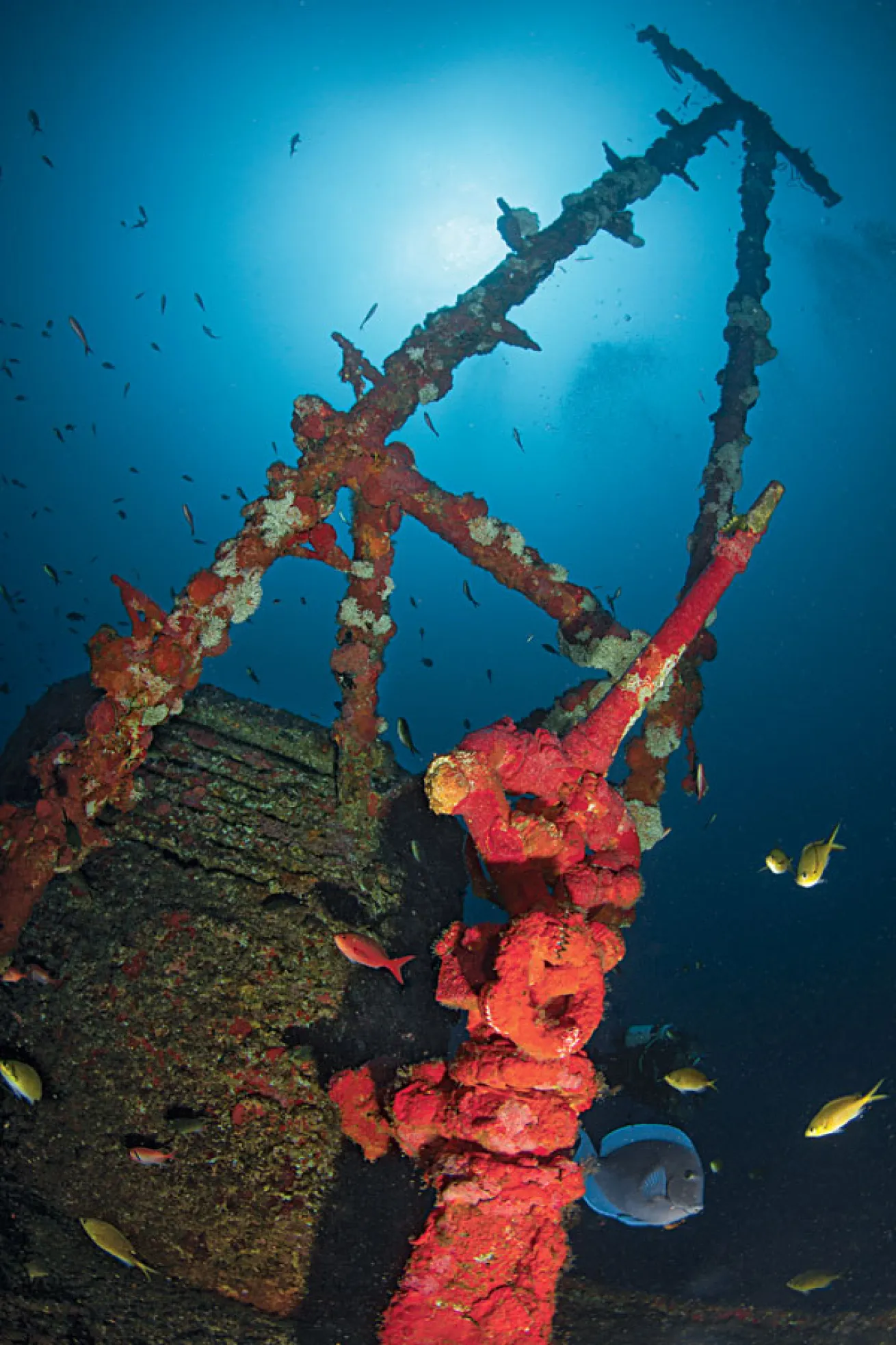 shipwreck off of the Fernando de Noronha islands