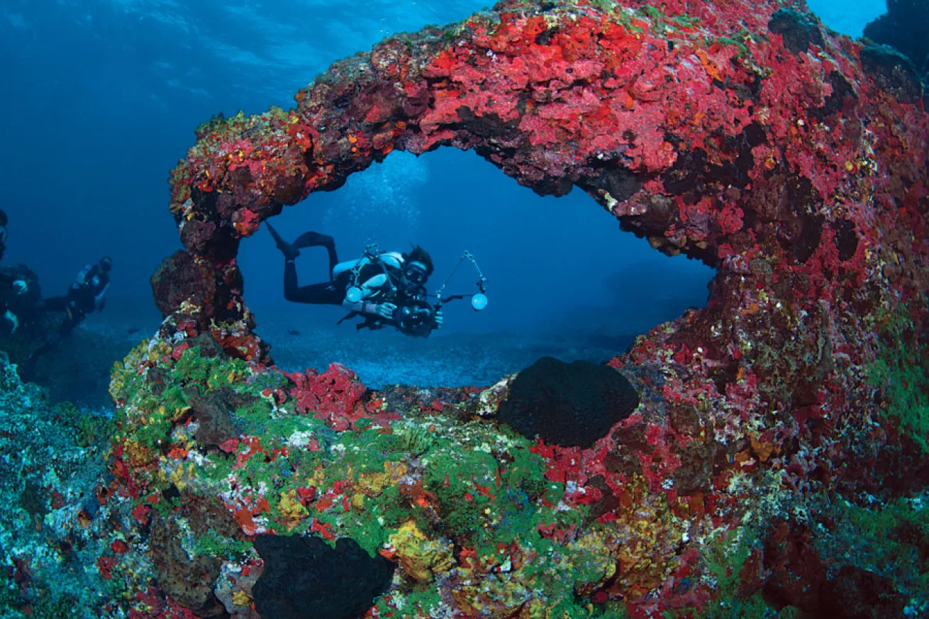 Underwater Arch