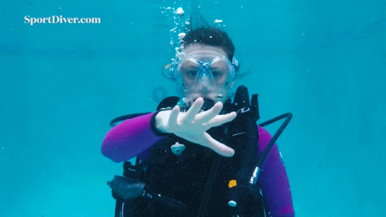 scuba diving hand signals