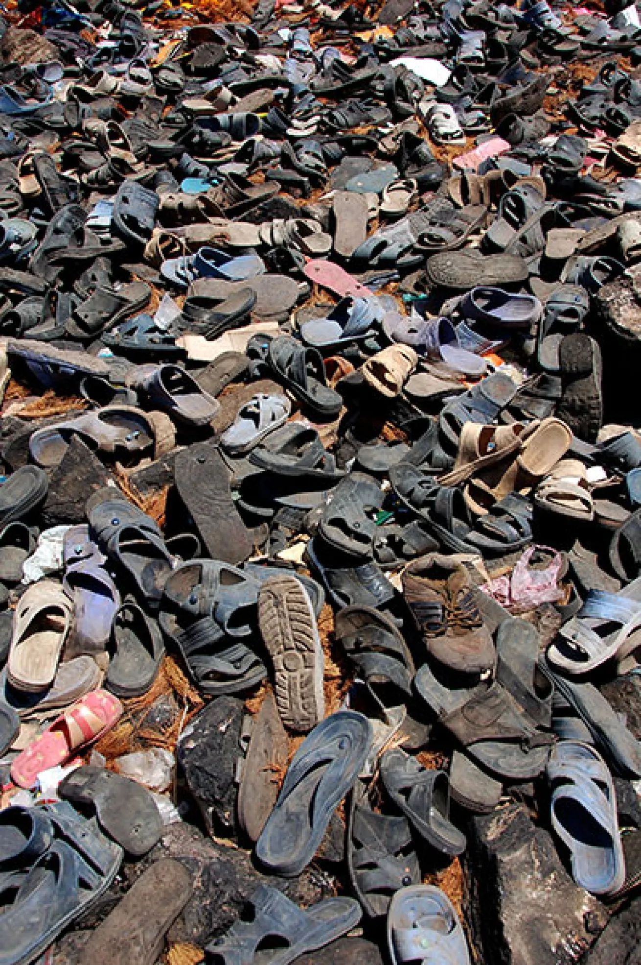 flip-flops on beach