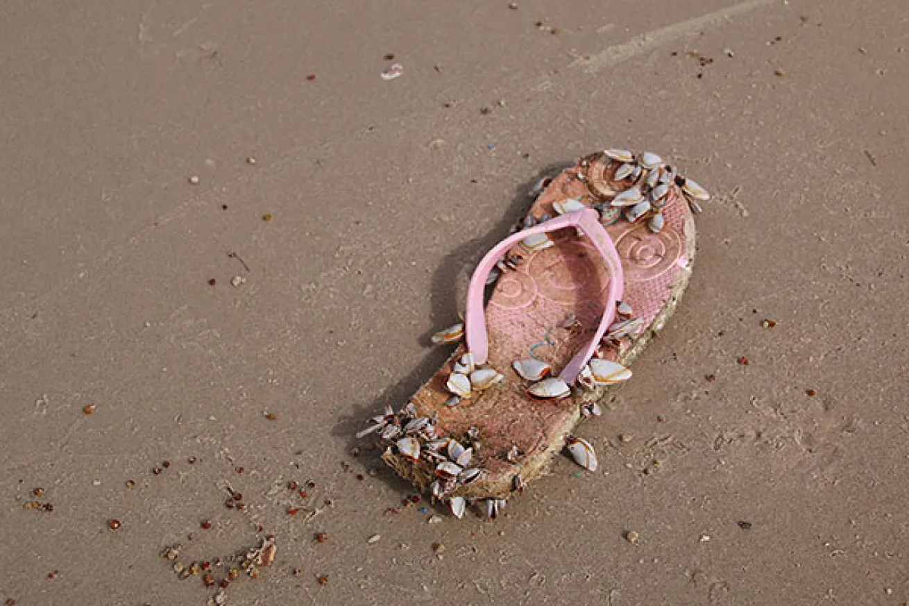 flip-flop