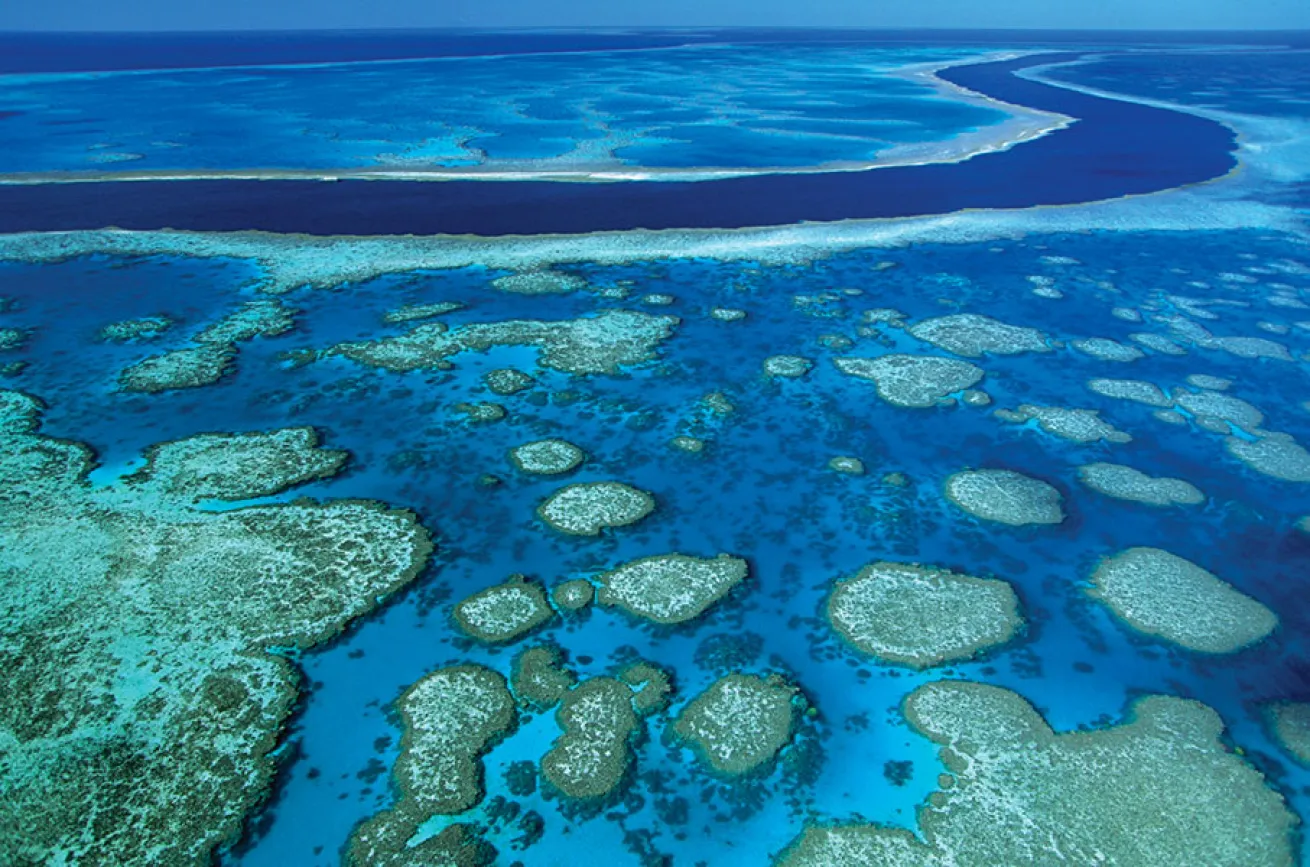 scuba diving great barrier reef