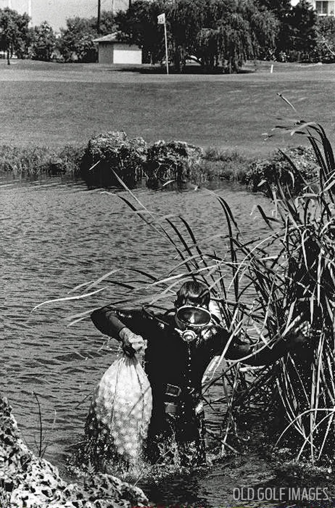 golf ball retrieval divers