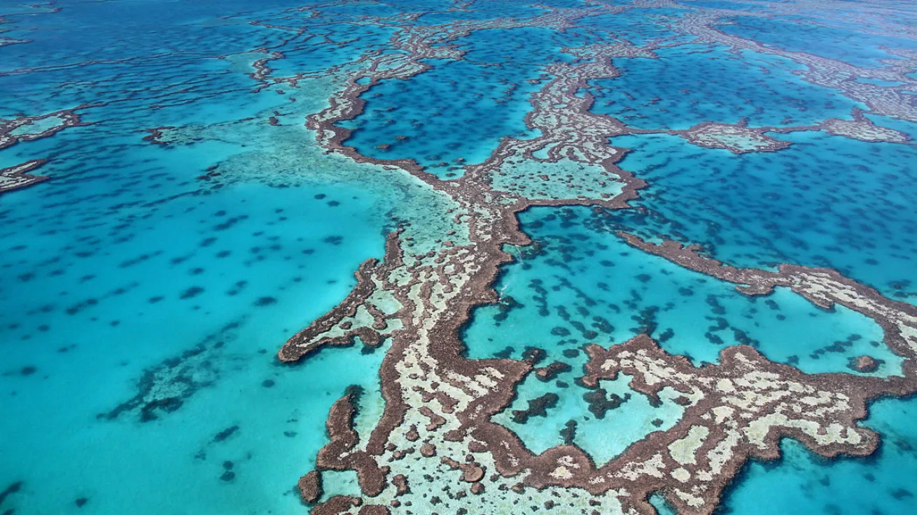 great barrier reef