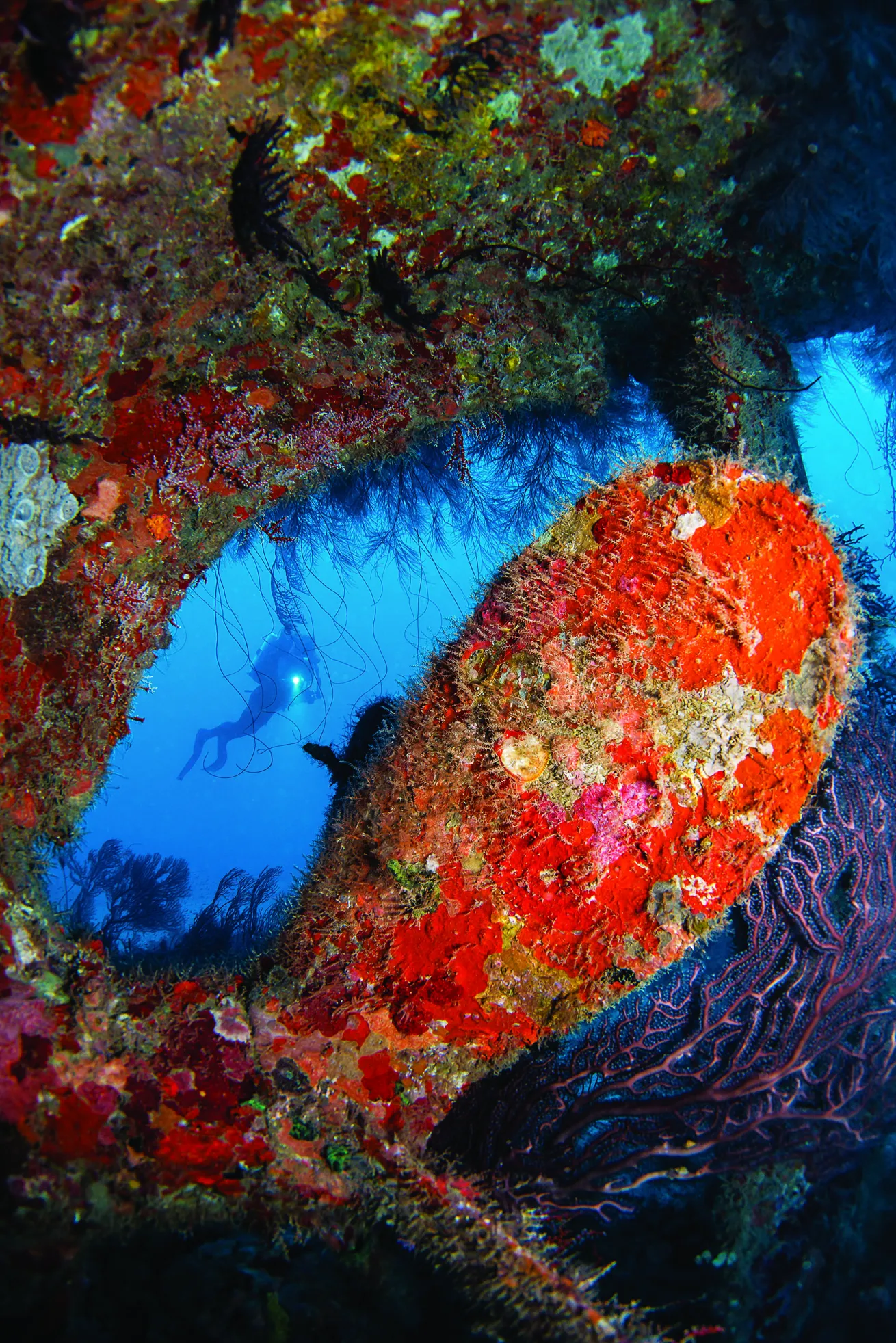 scuba diving reefs Grenada