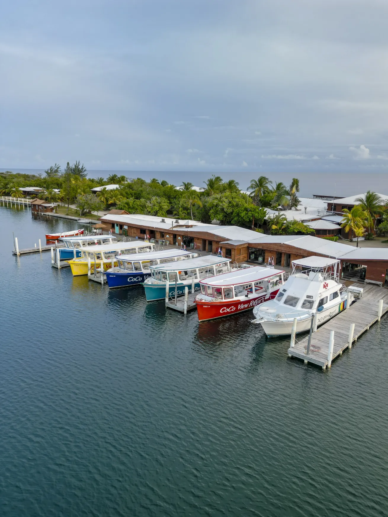 CoCo View’s fleet of spacious dive boats is ready to carry divers to premier Roatan dive sites 15 minutes from the resort.
