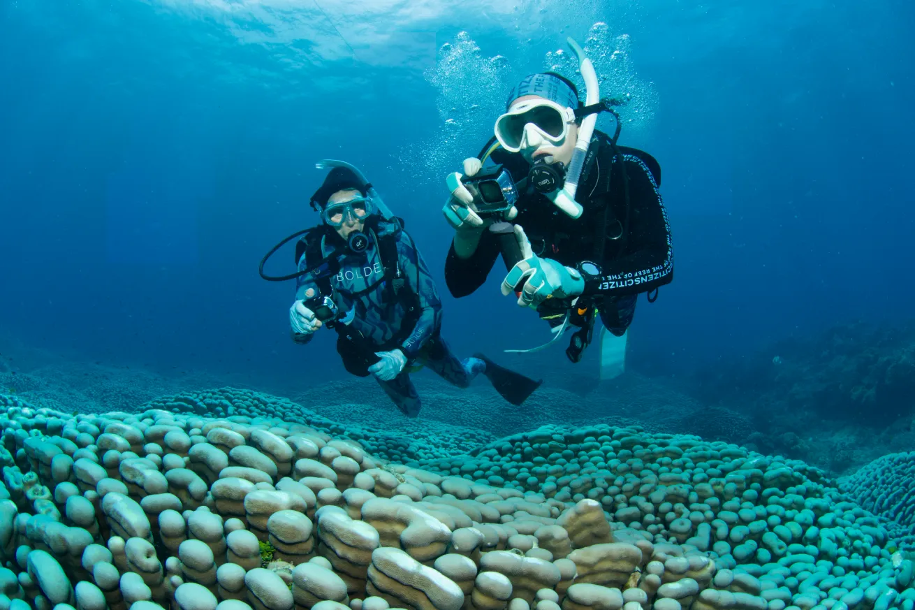 Sophie Kalkowski-Pope and Jan Pope survey a record-settingPavona clavuscoral colony for the Great Reef Census. 