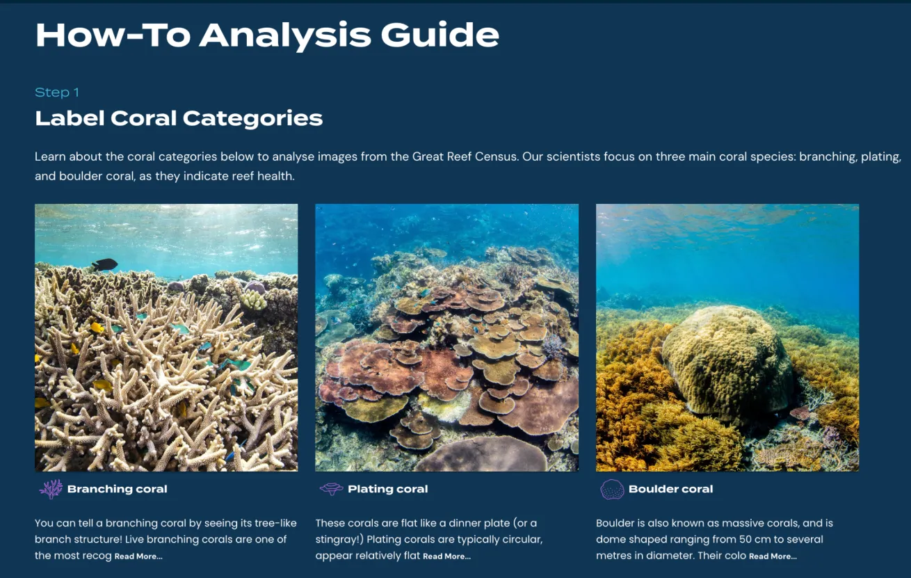 The Great Reef Census website teaches volunteers how to identify different types of coral.