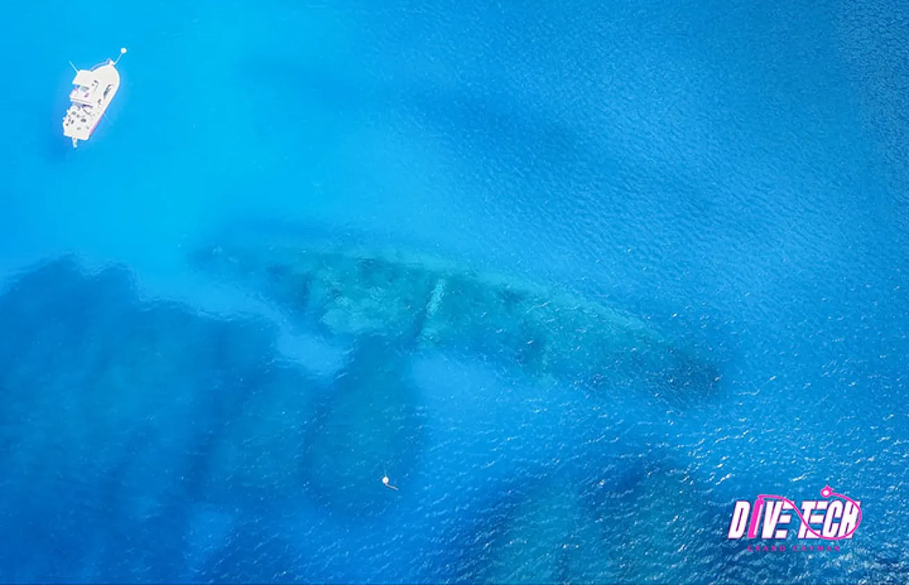 Kittiwake aerial