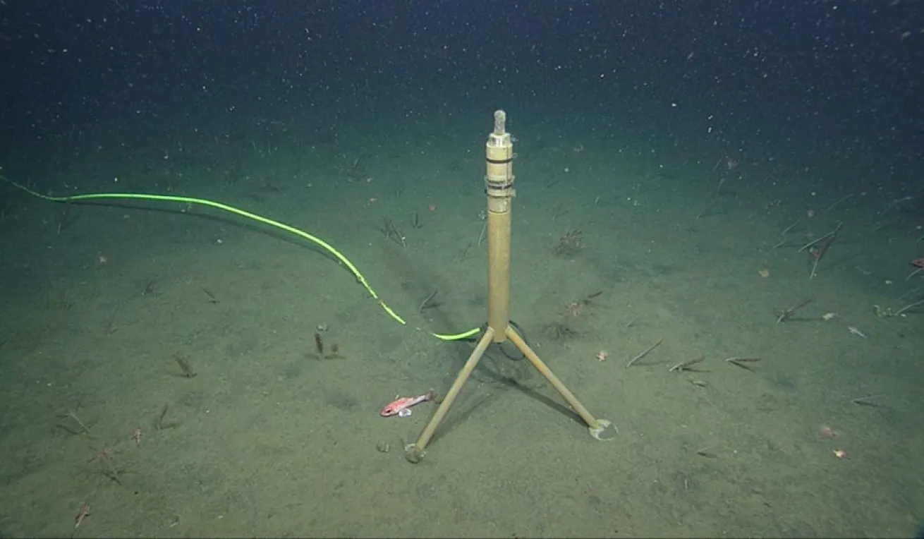 MARS hydrophone