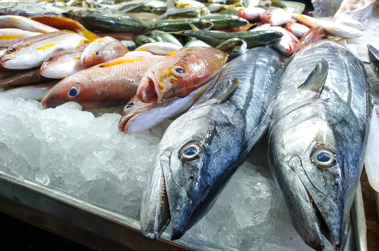 fish on ice at seafood market