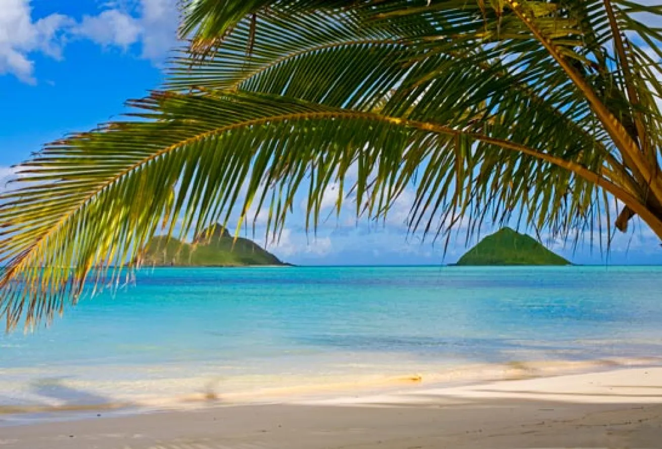 beaches pacific