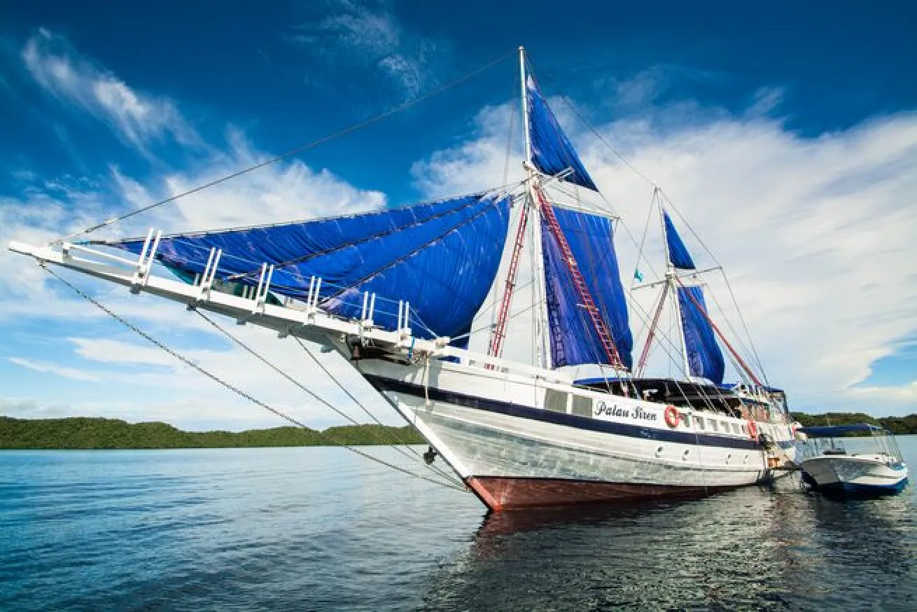 Palau Siren scuba diving liveaboard