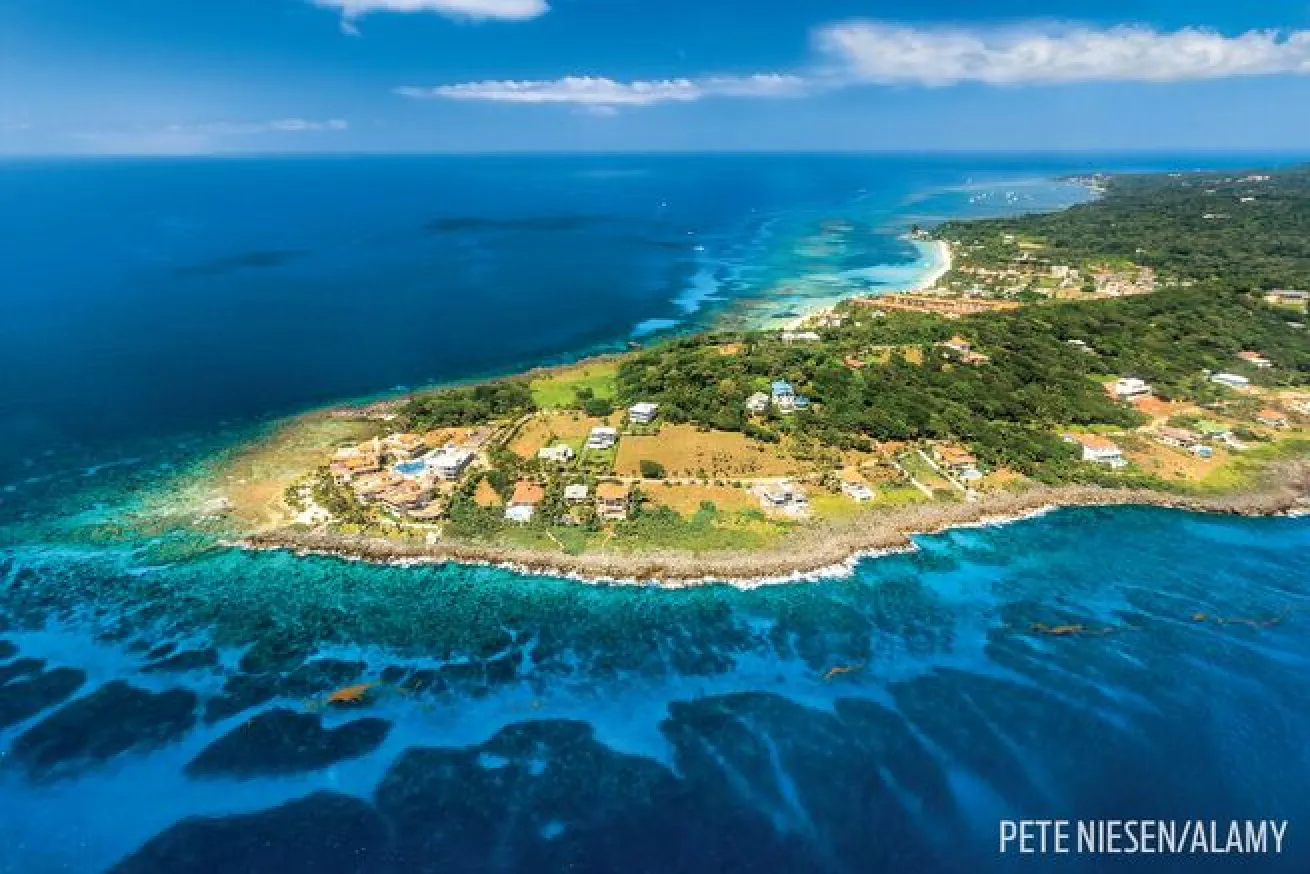 roatan aerial