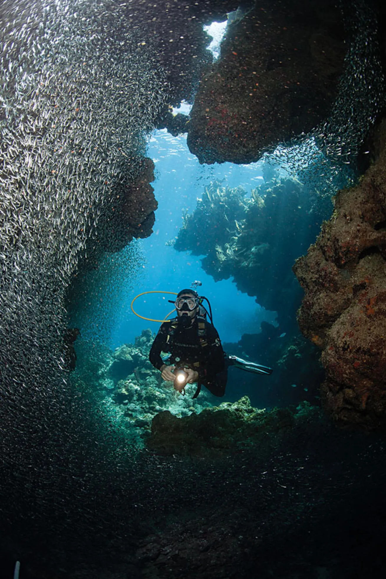 Roatan: Blue Channel Dive Site